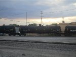 CRDX 300115